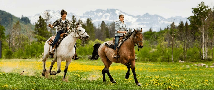Confident plus-size woman riding Cambridgeshire a horse through a field with a smile on her face.